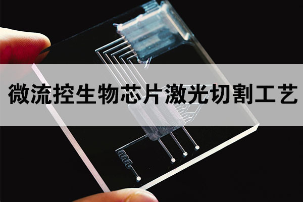 微流控生物芯片激光切割打孔開槽工藝
